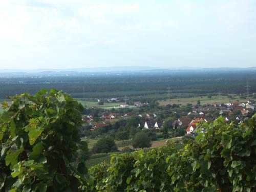 dscf0236.jpg