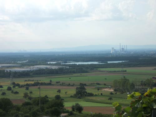 dscf0242.jpg